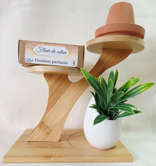Fondants parfumés - Parfum Fleur de coton